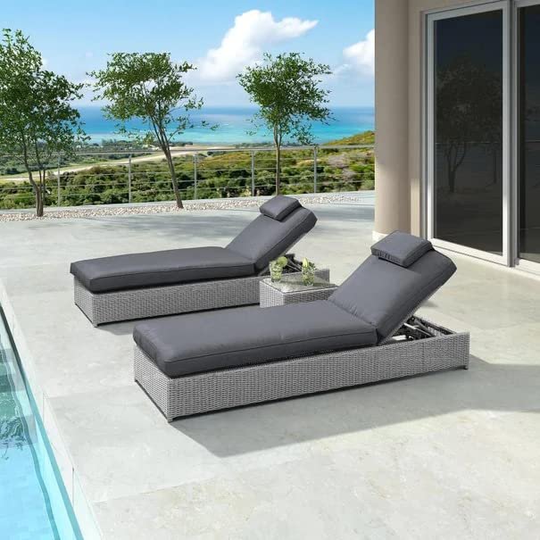 DEVOKO Outdoor Lounge Chairs Set (Silver/Dark Grey)