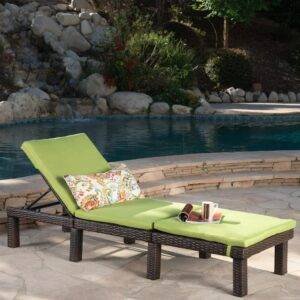 DEVOKO Double Chaise Lounge with Waterproof Cushions -Dark Brown/Light Green