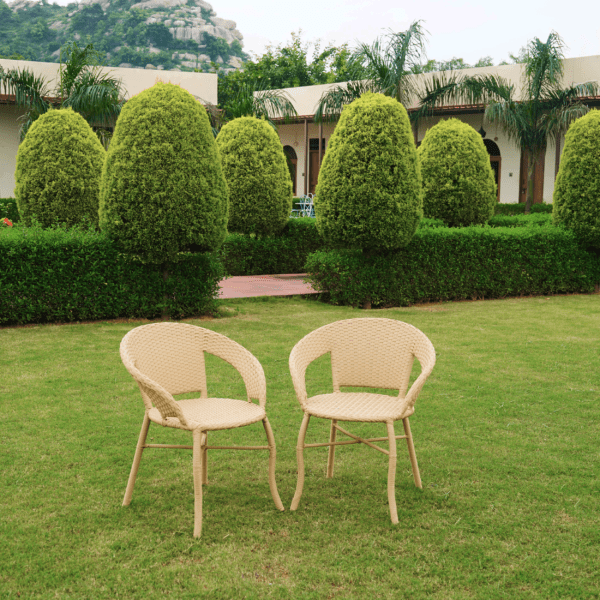 Outdoor Wicker All Weather Patio Dining Chair(Beige)