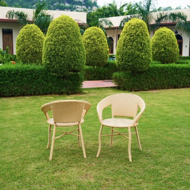 Outdoor Wicker All Weather Patio Dining Chair(Beige) - Image 4